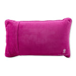 Both Be Wrong Needlepoint Pillow