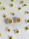 Ohrstecker aus Perlmutt und goldenem Gänseblümchen – Nicola Bathie
